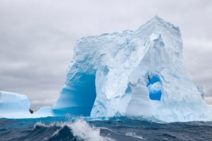 世界举重青训营学员康复档案管理系统上线，世界举重锦标赛2021