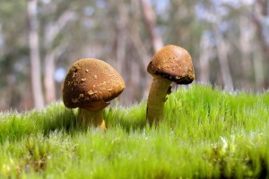 世界乒坛明星教练巡讲第74季城市名单公布，乒乓球世界冠军教练