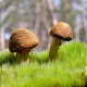 世界乒坛明星教练巡讲第74季城市名单公布，乒乓球世界冠军教练